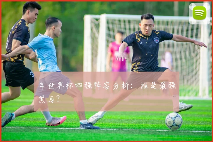 年世界杯四强阵容分析：谁是最强黑马？
