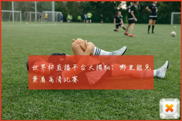 世界杯直播平台大揭秘：哪里能免费看高清比赛