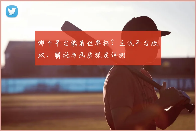 哪个平台能看世界杯?主流平台版权、解说与画质深度评测