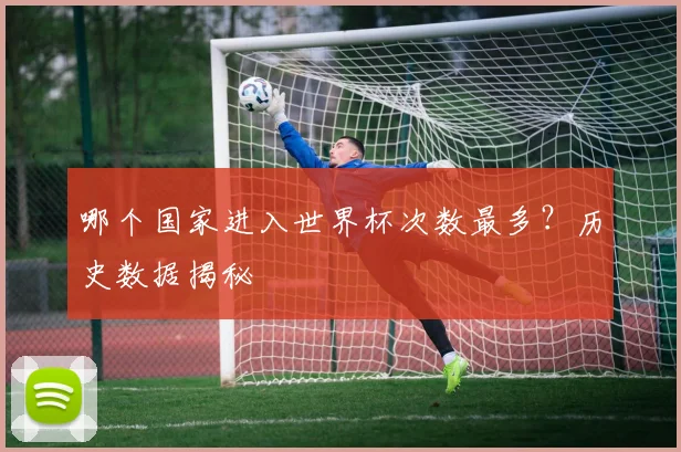 哪个国家进入世界杯次数最多?历史数据揭秘