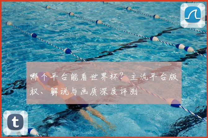 哪个平台能看世界杯?主流平台版权、解说与画质深度评测