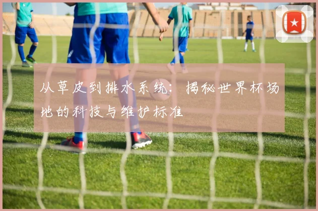 从草皮到排水系统：揭秘世界杯场地的科技与维护标准