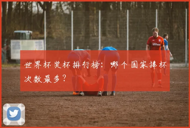 世界杯奖杯排行榜：哪个国家捧杯次数最多？